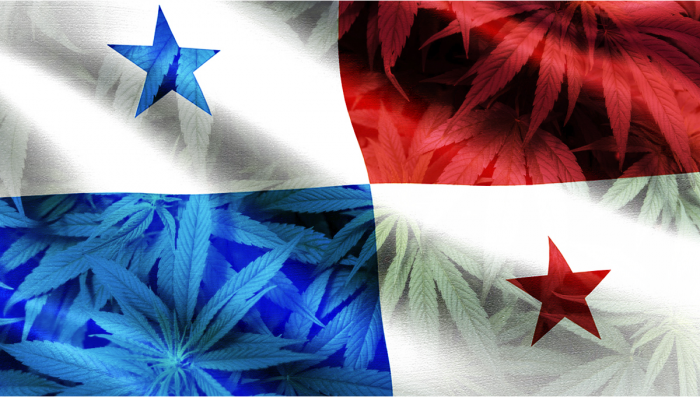 Panama Legalizes Medical Plants