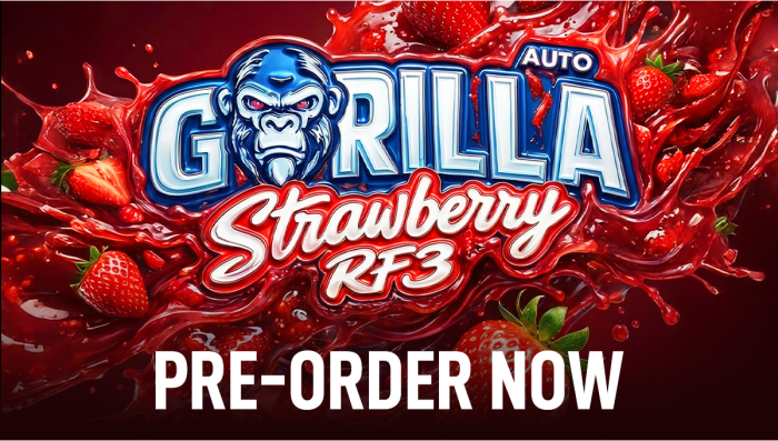 EXCLUSIVE Seed Drop & Giveaway: Strawberry Gorilla Auto RF3