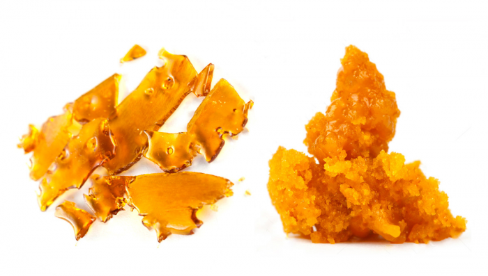 Plants Concentrates: Shatter vs Wax