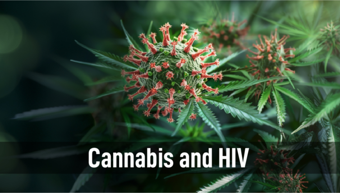 HIV and Plants: A Potential Therapy or a Risky Business?