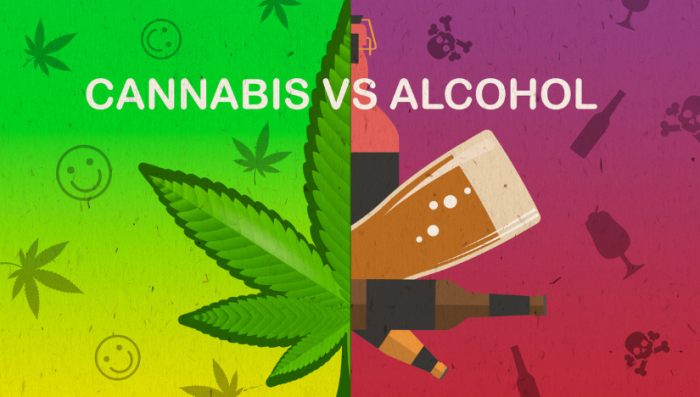 Plants Versus Alcohol Health Risks – Which One Is Safer For You?