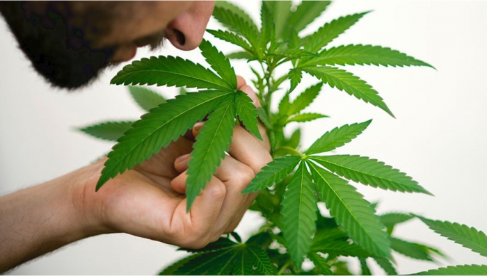 When do Autos Start to Smell?