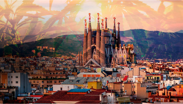 Plants in Spanien: Ratgeber zum rechtlichen Status von Plants
