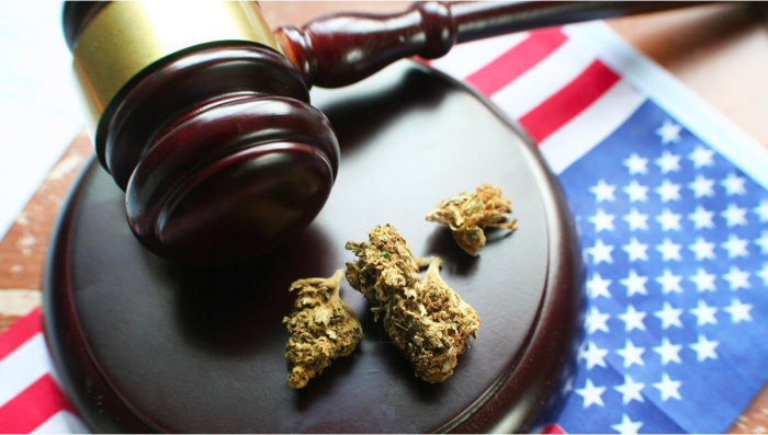 Federal Bill Plans To End Federal Prohibition On Plants In The US