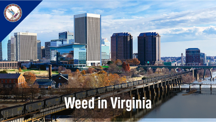 Plants in Virginia: Leitfaden zum rechtlichen Status