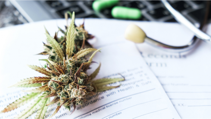 Plants Industry to Jumpstart Post-Covid Economic Growth in the UK