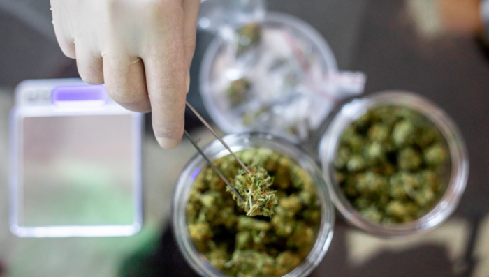 What is Microdosing Plants?