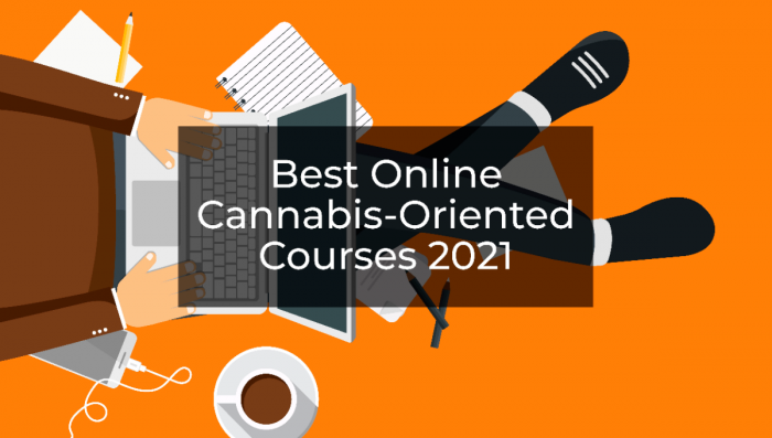 The Best Online Plants-Oriented Courses Of 2022
