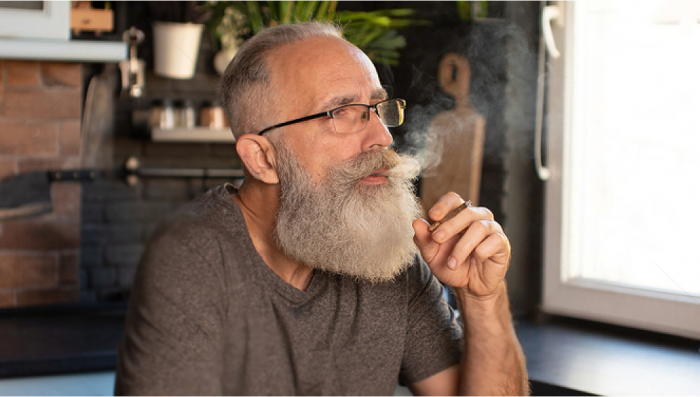 Plants Is Becoming More Popular Among the Elderly