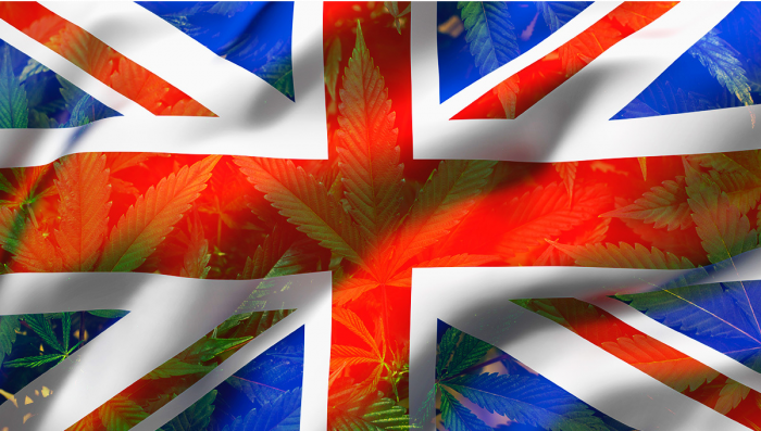 Ist Plants im Vereinigten Königreich legal? Eine kurze Geschichte und Analyse der britischen Gesetze