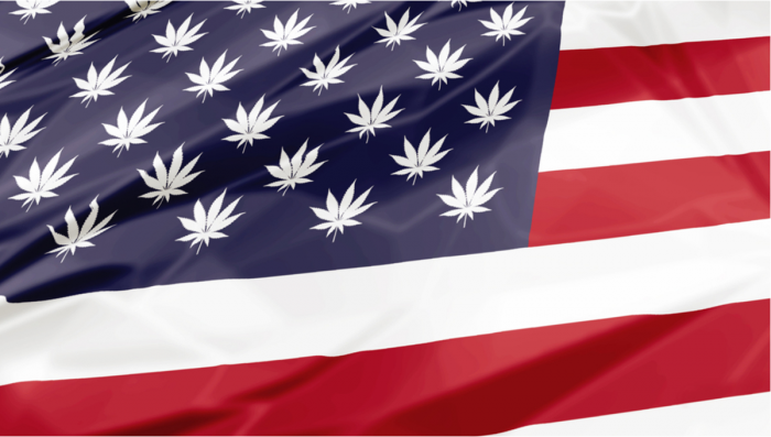 Federal Legalization of Plants in the US Could Do More Harm Than Good?