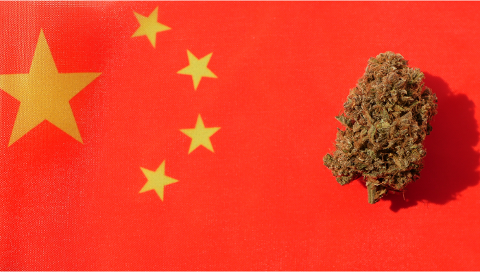 Plants in China: Leitfaden zum rechtlichen Status von Plants