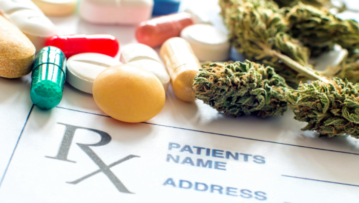 Can You Overdose on Plants?