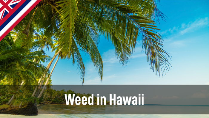 Plants in Hawaii: Plants Legal Status Guide