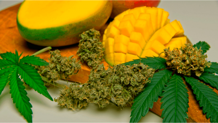 Understanding Flavor: What is Myrcene?