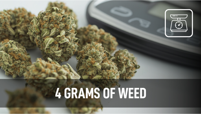 4 Gramm Plants: Verständnis von Marihuana-Gewichten und -Maßen