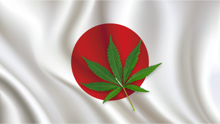 Plants in Japan: Plants Legal Status Guide
