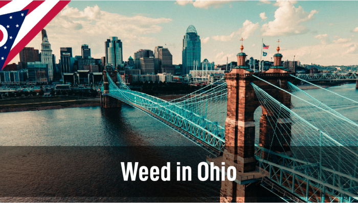 Plants in Ohio: Leitfaden zum rechtlichen Status von Plants