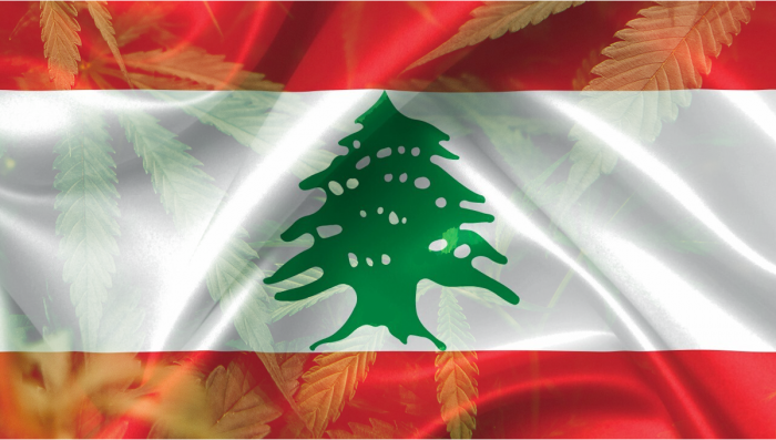 Plants in Lebanon: Plants Legal Status Guide