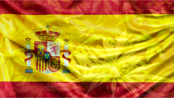 The Spanish Agency of Medicines Approves The Cultivation of 3 Hectares of Plants