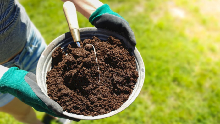 Best Soil For Plants - What is Good Soil For Growing Plants?