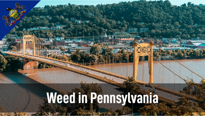 Plants in Pennsylvania: Leitfaden zum rechtlichen Status