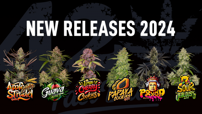Presenting our highly awaited 2024 auto releases!