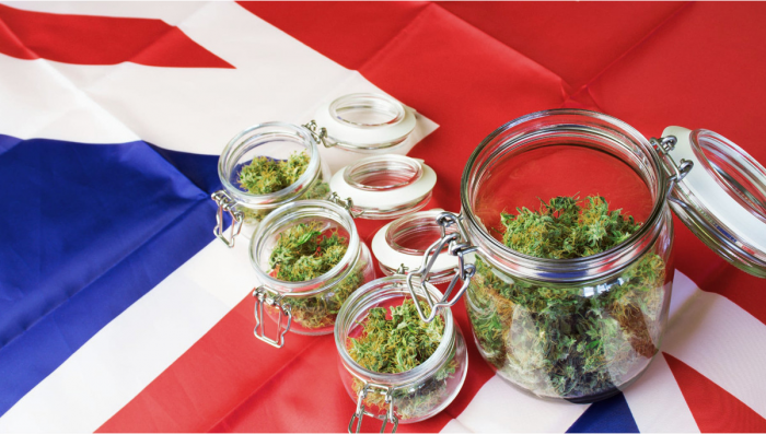 UK: A New Study Surveyed Users About the Best Model of Plants Regulation