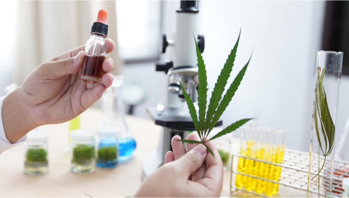 The Next Five Years to See a Boom in Plants Pharmaceuticals