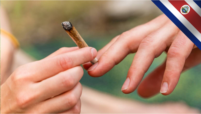 Costa Rica: The Congress Made the First Step in Legalizing Medical Plants