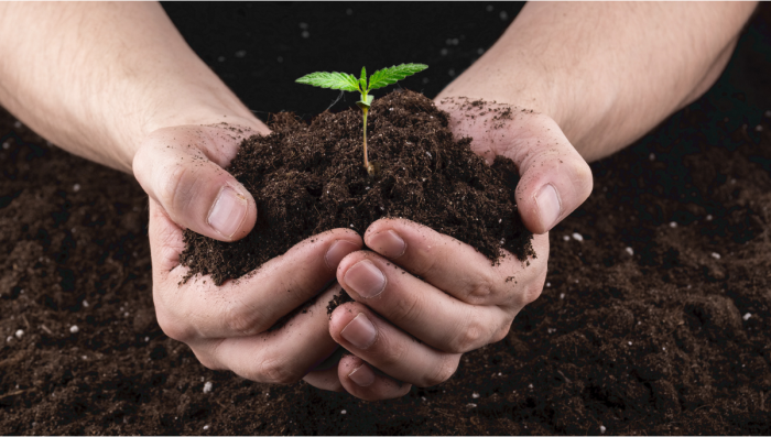 How To Make Super Soil For Plants Plants