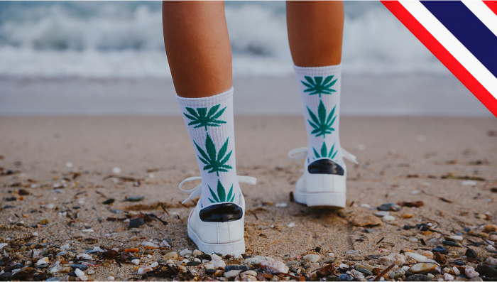 Die Botanik der Legalisierung: Thailand erlaubt jetzt Plantsblüten und -samen