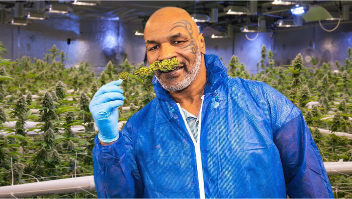 Mike Tysons New Plants Company Will Go National
