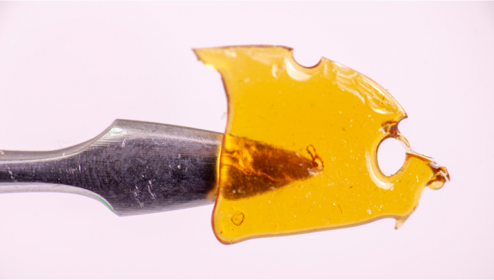 Plants Shatter: Was ist das, wie stellt man es her und wie raucht man strength- & Extract-Haschöl