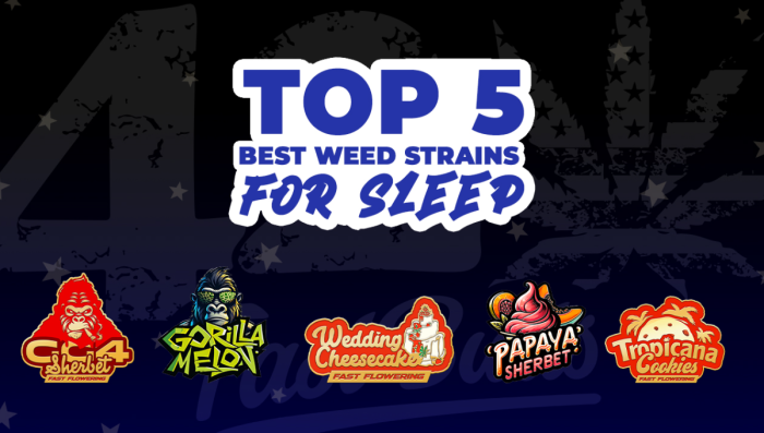 Top 5 Best Plants Seeds For Sleep