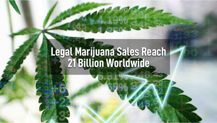 Legal Plants Sales Reach 21 Billion Worldwide: Time to Join In?
