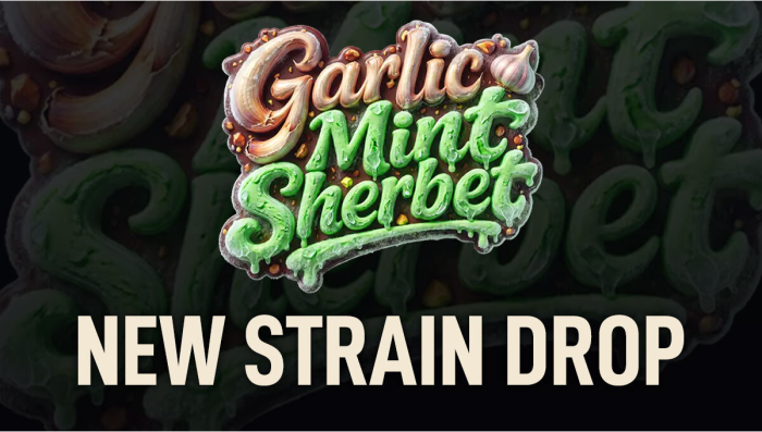 NEW Seed Drop: Garlic Mint Sherbet™