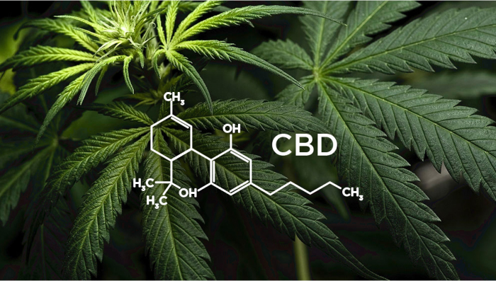 What is Extract?