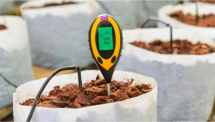 What is pH Level and Why its Important for Growing Plants