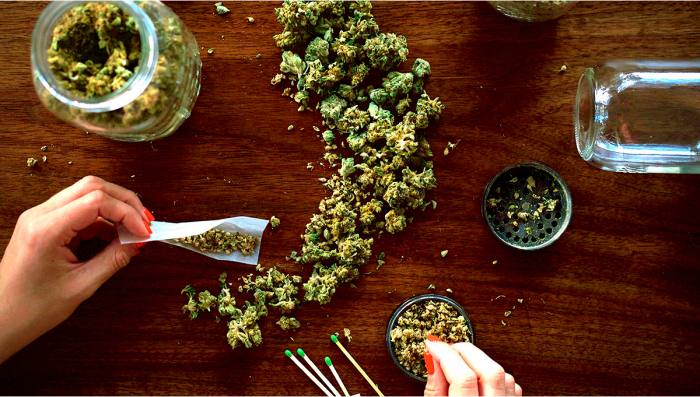 7 Products That Have Changed The Way We Consume Plants