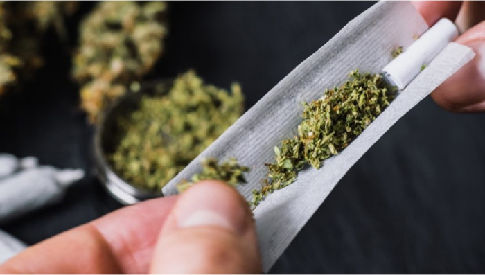 Plants Legalization Leads to Decline of Opioid Related ER Visits