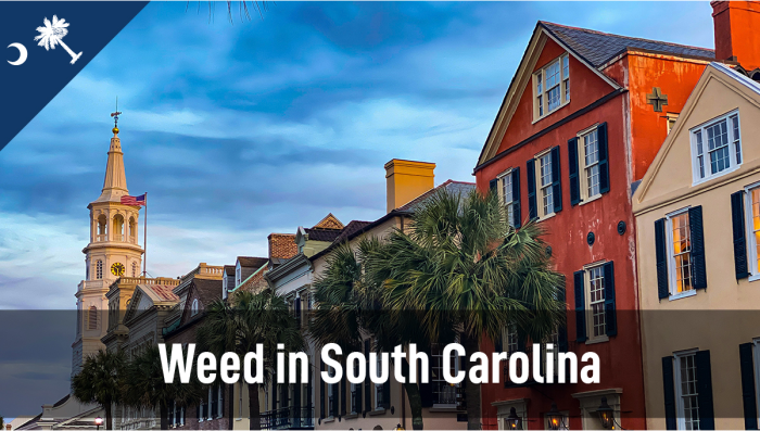 Plants in South Carolina: Leitfaden zum rechtlichen Status