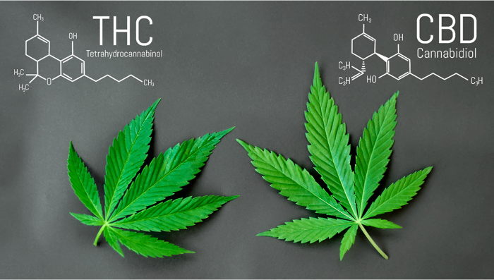 What is the difference between strength and Extract?