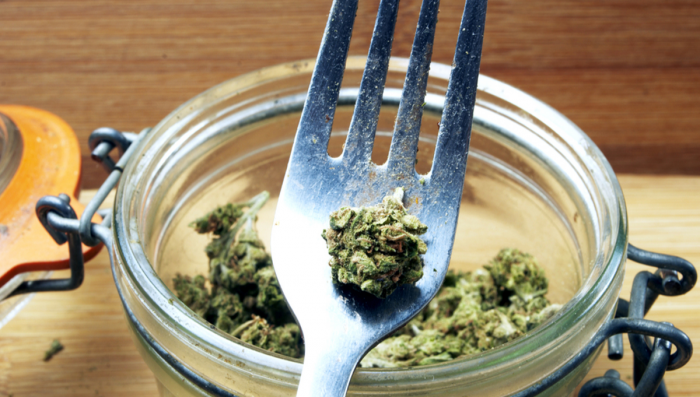 How to Make Plants Edibles for Beginners - Best Plants Edibles Recipes