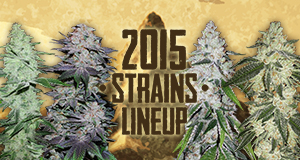 The long-awaited new seeds 