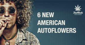 6 new autos
